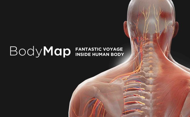BodyMap → VR Oculus Meta Quest VR Game<span class="mi-jiaobiao" style="background-color: #ff0000;">Education Free</span>