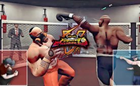 Virtual Fighting Championship Oculus Meta Quest VR game