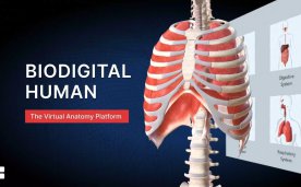 The BioDigital Human VR Oculus Meta Quest all-in-one education game