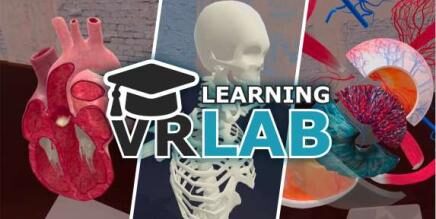 VR Anatomy Lab Oculus Meta Quest VR game<span class="mi-jiaobiao" style="background-color: #000361;">Education Free</span>