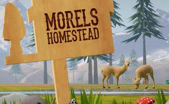 Morels Homestead VR Oculus Meta Quest fighting game<span class="mi-jiaobiao" style="background-color: #041d81;">Fighting Free</span>