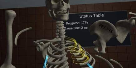 Human Anatomy Puzzle VR Oculus Meta Quest all-in-one education game<span class="mi-jiaobiao" style="background-color: #ff0000;">Education Free</span>