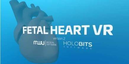 Fetal Heart VR Oculus Meta Quest all-in-one Education game<span class="mi-jiaobiao" style="background-color: #ff0000;">Simulation Free</span>