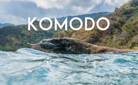 Komodo A Paradise Under Pressure Quest VR Games