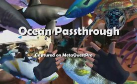Ocean Passthrough VR Quest Games
