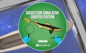 Dissection Simulator Shark Edition Oculus Meta Quest VR Game
