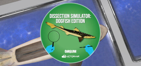 Dissection Simulator Shark Edition Oculus Meta Quest VR Game<span class="mi-jiaobiao" style="background-color: #df0c0c;">Educational</span>