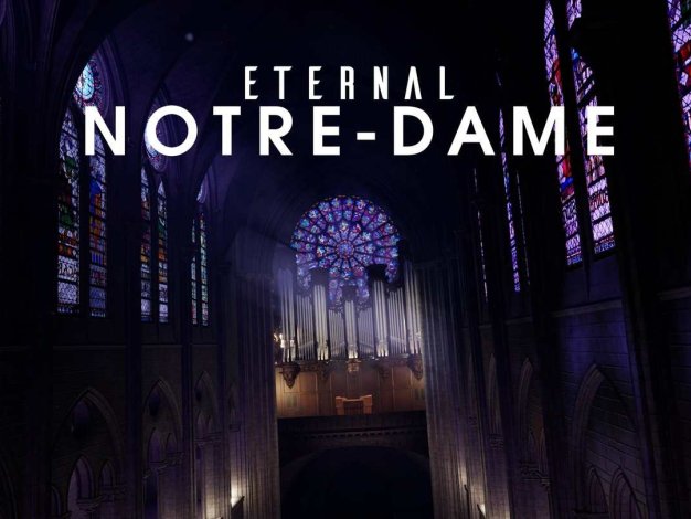 Eternal Notre Dame Oculus Meta Quest VR Game<span class="mi-jiaobiao" style="background-color: #eb0505;">History VIP</span>