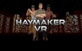 Haymaker Oculus Meta Quest VR Game