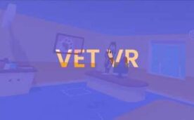 Vet VR Oculus Meta Quest VR Game