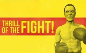 The Thrill of the Fight Oculus Meta Quest VR Game