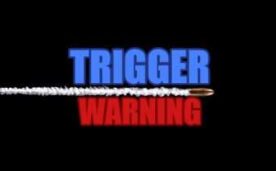 Trigger Warning Oculus Meta Quest VR Game