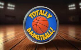 TOTALLY BASKETBALL Oculus Meta Quest VR Game
