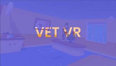 Vet VR Oculus Meta Quest VR Game<span class="mi-jiaobiao" style="background-color: #ff0000;">Simulation VIP</span>
