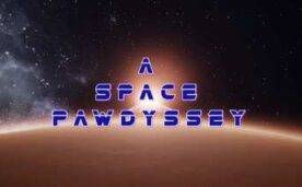 A Space Pawdyssey Oculus Meta Quest VR Game<span class="mi-jiaobiao" style="background-color: #ff0000;">Adventure VIP</span>