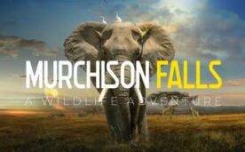 Murchison Falls Oculus Meta Quest VR Game<span class="mi-jiaobiao" style="background-color: #ff0000;">Travel and exploration VIP</span>