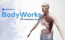 BodyWorks Precision Anatomy Oculus Meta Quest VR Game<span class="mi-jiaobiao" style="background-color: #ff0000;">Simulation Free</span>