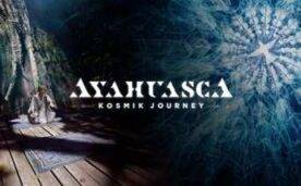 Ayahuasca Kosmik Journey Oculus Meta Quest VR Game<span class="mi-jiaobiao" style="background-color: #ff0000;">Sports VIP</span>