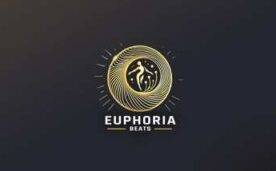 Euphoria Beats Feel the Beat Oculus Meta Quest VR Game<span class="mi-jiaobiao" style="background-color: #ff0000;">Rhythm VIP</span>