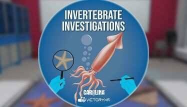 Dissection Simulator Invertebrate Edition Oculus Meta Quest VR Game<span class="mi-jiaobiao" style="background-color: #ff0000;">Education Free</span>