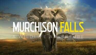 Murchison Falls Oculus Meta Quest VR Game<span class="mi-jiaobiao" style="background-color: #ff0000;">Travel and exploration VIP</span>