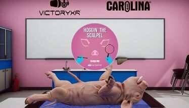 Dissection Simulator Pig Edition Oculus Meta Quest VR Game<span class="mi-jiaobiao" style="background-color: #ff0000;">Education VIP</span>