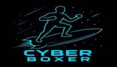 Cyber Boxer Oculus Meta Quest VR Game<span class="mi-jiaobiao" style="background-color: #ff0000;">Fighting VIP</span>