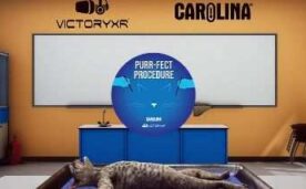 Dissection Simulator Cat Edition Oculus Meta Quest VR Game<span class="mi-jiaobiao" style="background-color: #ff0000;">Education VIP</span>