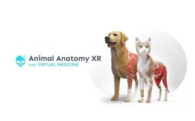 Animal Anatomy XR Oculus Meta Quest VR Game<span class="mi-jiaobiao" style="background-color: #ff0000;">Education VIP</span>