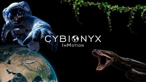Cybionyx InMotion Oculus Meta Quest VR Game<span class="mi-jiaobiao" style="background-color: #ff0000;">Audio-visual content VIP</span>